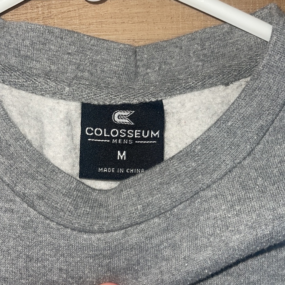 Grey (medium) mens crew neck michigan - Picture 3 of 3